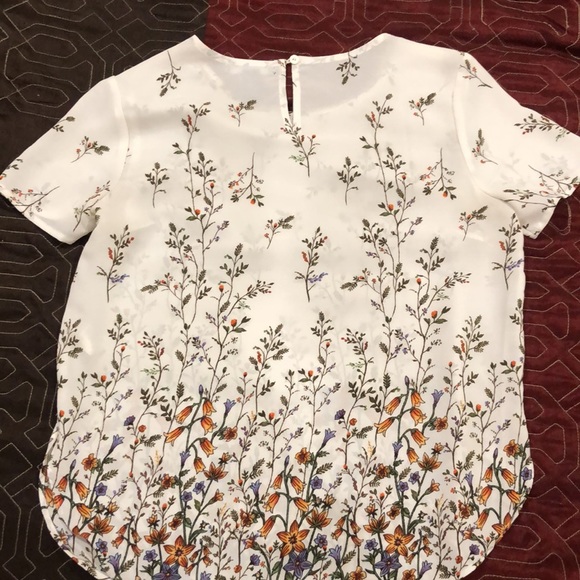 Top( S) - Picture 2 of 2